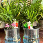 Cây xanh để bàn mẫu 19 - ảnh chính
